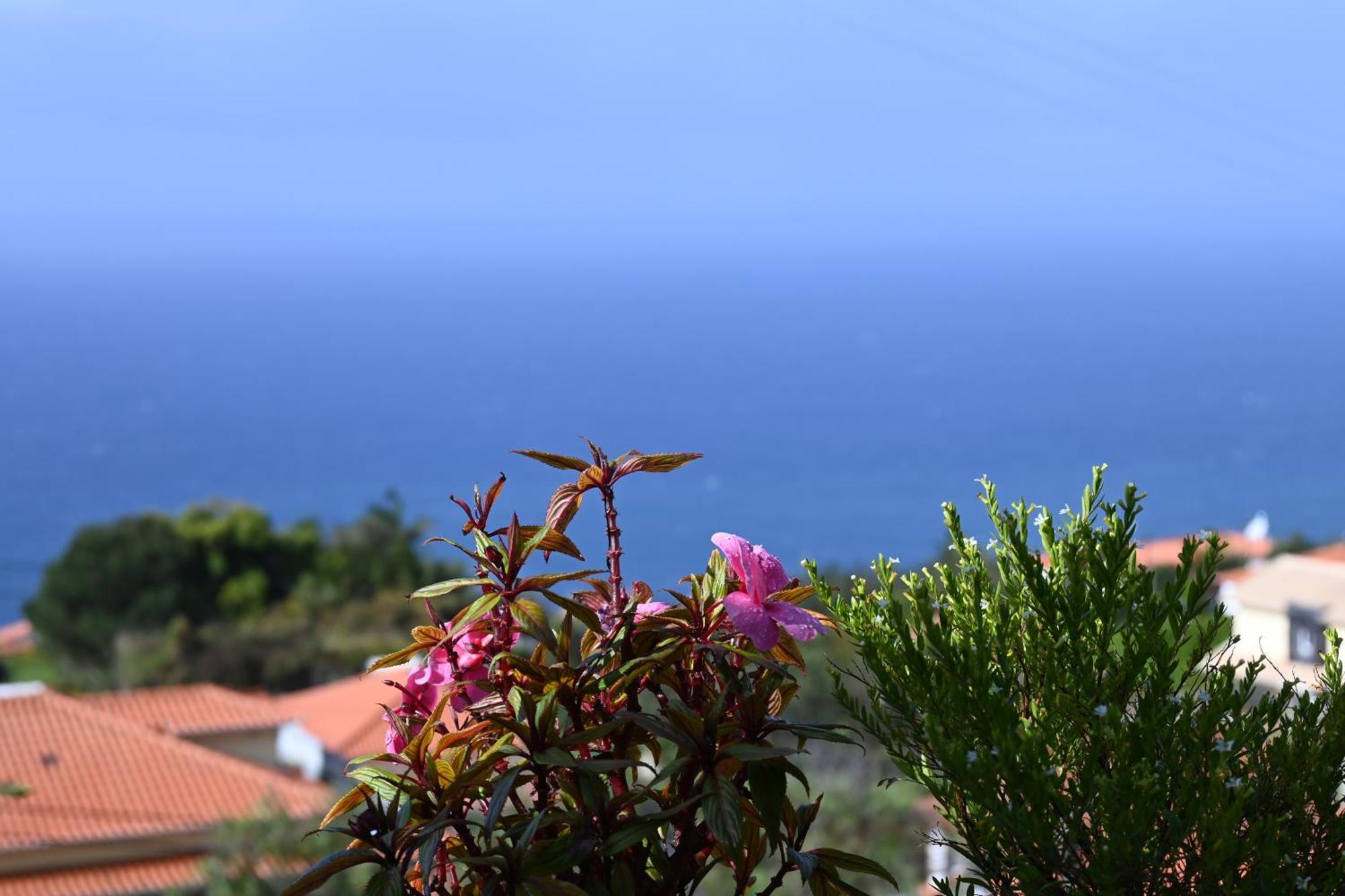 Vista Romantica Madeira Arco da Calheta  Exterior photo